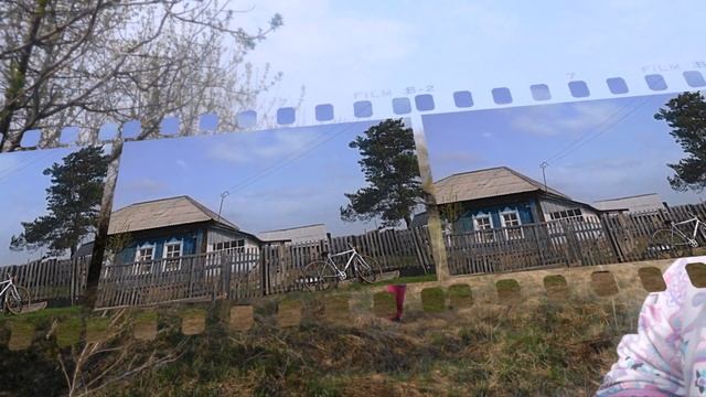 Трава у дома