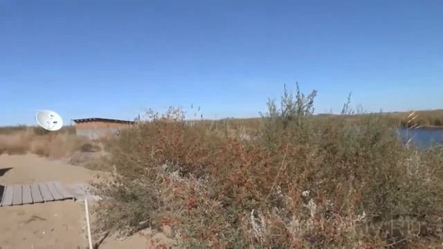 Рыболовный рай в дельте реки Или смотреть онлайн