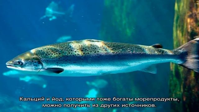 Здоровое питание. Оценка морепродуктов смотреть онлайн