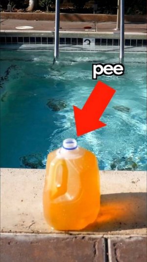 Сколько Мочи в Бассейне? (Mark Rober Nasa | Марк Робер)