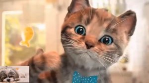 Мультик для малышей .Мультик про котика.