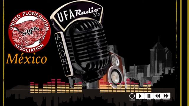 Programa 1. UFA Radio Mx. смотреть онлайн