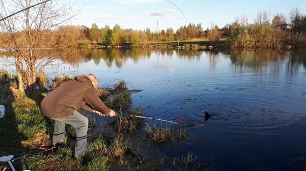 Удочки таки надо было брать!