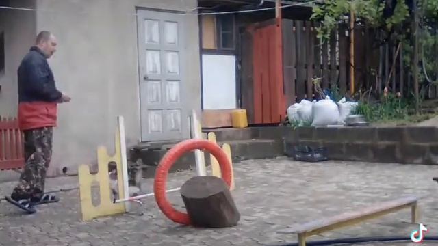 2 июня 2021 г. смотреть онлайн