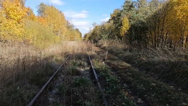 21670 kHz SBA Saudi Radio International