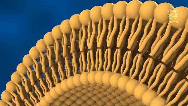 НАНОТЕХНОЛОГИИ SESDERMA