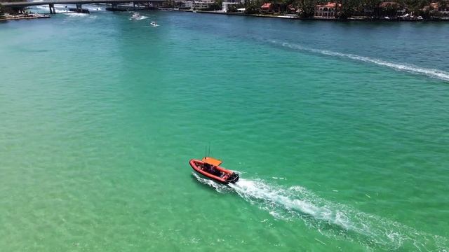 Музыка природы звуки воды/wild planet, forest,sea смотреть онлайн