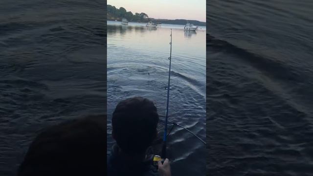 pike 20 lb смотреть онлайн