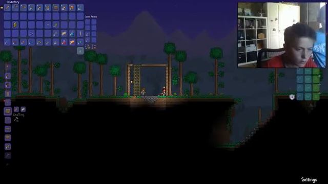 Terraria #1 Строим дом смотреть онлайн
