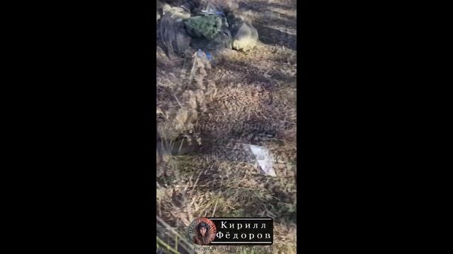 ⚡️СВО 18+ Восьмёрка ВСУшников из с.Ольговка Курской области смотреть онлайн