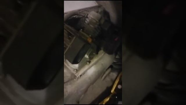 WhatsApp Video 2024 02 04 at 18 54 28 смотреть онлайн