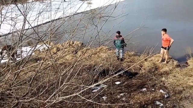 Спасение воблера. Апрель 2017