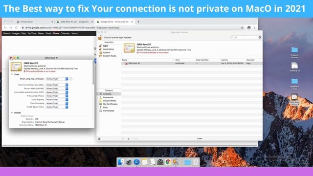 The Best way to fix Your connection is not private on MacO in 2021 - 2021 - 12 смотреть онлайн