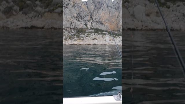 Рыбалочка в Балаклаве. Луфарик и ставрида! смотреть онлайн