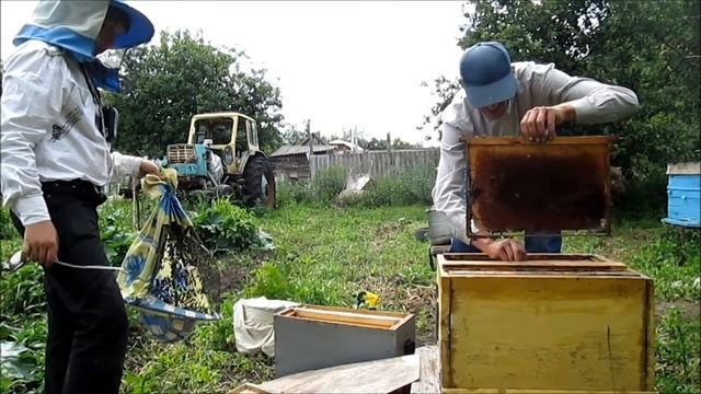 первый опыт в ловле роя смотреть онлайн