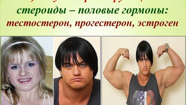 Биология Урок 8, 1 четверть смотреть онлайн