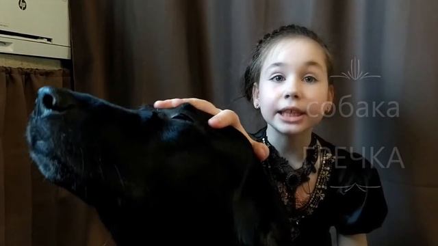 Изложение. Моноверсия Шурочки Шереметьевой смотреть онлайн