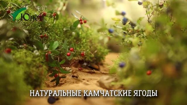 Камчатские натуральные продукты