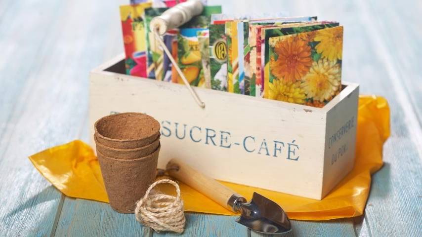 Цветочный пасьянс.
Обзор цветочных однолетников на 2023 г. смотреть онлайн