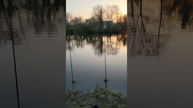 Рыбалка на Карпа весной Мини бойлы. 20 марта 2022.река Майн. смотреть онлайн