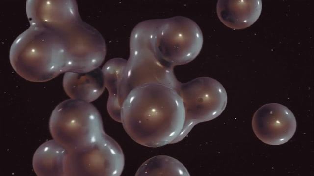 Что Скрывают БЕЛКИ и УГЛЕВОДЫ??? смотреть онлайн