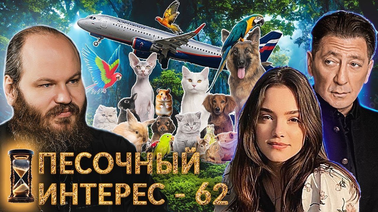 БЛУД/ КОНФЛИКТ ЛЕПСА/ ЖИВОТНЫЕ В АЭРОФЛОТЕ. ПЕСОЧНЫЙ ИНТЕРЕС - 62 смотреть онлайн