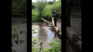 Рыбалка в Башкирии на форель.