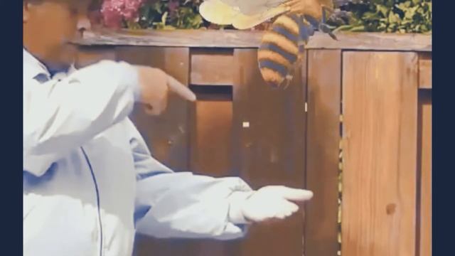 PCM Presents: "The First Paint 3D Cartoon" смотреть онлайн