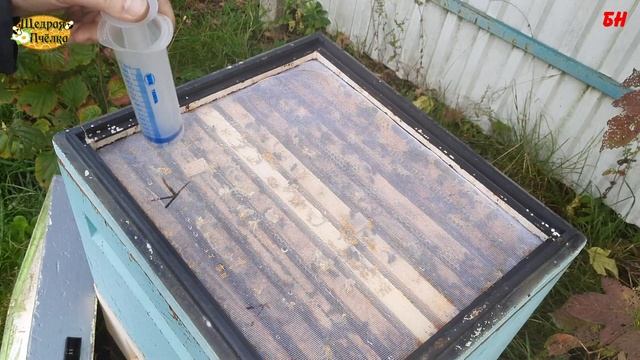 обработка пчёл от клеща в октябре, надо или нет? смотреть онлайн