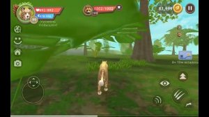 Прокачка Льва и Гепарда до 100 уровня в WildCraft.