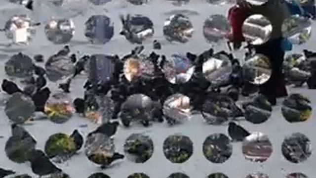 Город 54.mp4 смотреть онлайн