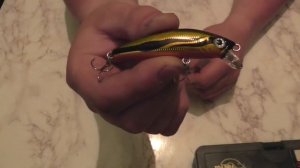 Диалоги о приманках  Yo Zuri L Minnow F200 66 mm