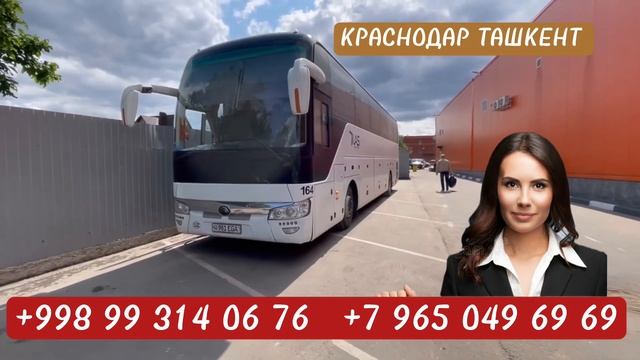Краснодар Ташкент автобус #краснодар #ташкент #автобус смотреть онлайн