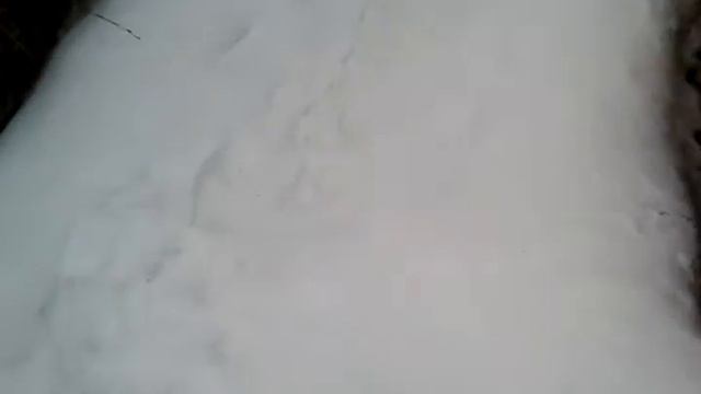 ВЛОГ.ИРКУТСКАЯ "СВАЛКА" КУРСКАЯ ДУГА И МНОГОЕ ДРУГОЕ (2ЧАСТЬ)