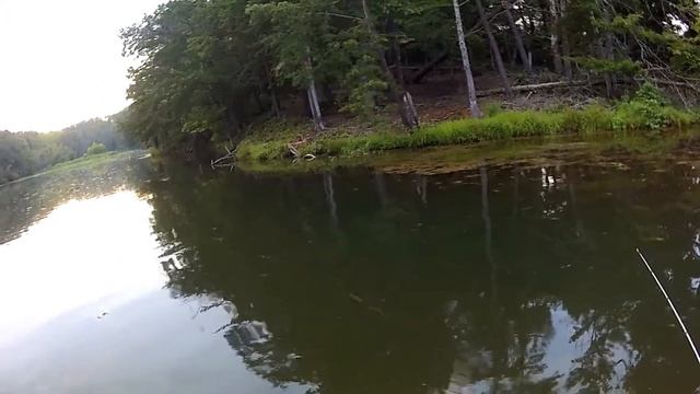 SURPRISE CATCH on a POPPER! смотреть онлайн
