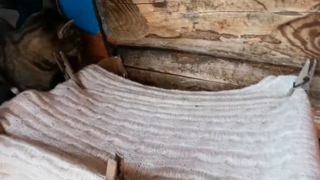 Влог: Приехали на рыбалку смотреть онлайн