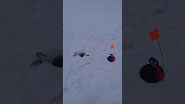 часть 1 вот что можно поймать на жерлицы смотреть онлайн