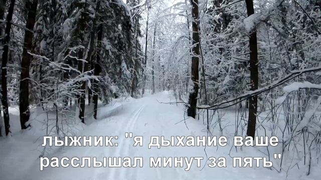 Петергоф 19 января 2019 смотреть онлайн