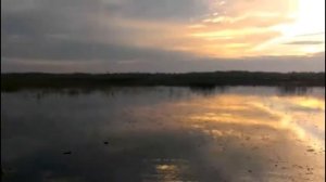 охота на уток. подбор видео.