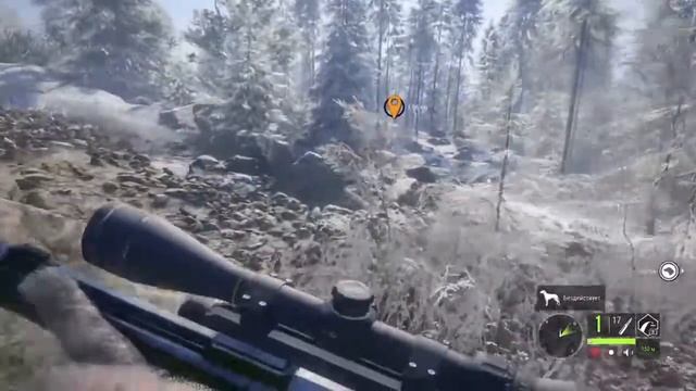 TheHunter Call of the Wild ps4 Тайга смотреть онлайн