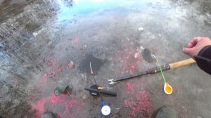 22.10.2024г.. Первый лёд. Первый улов из подо льда. Первый но опасный лёд.