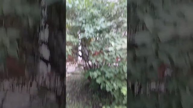 Байкалская дом 48 смотреть онлайн