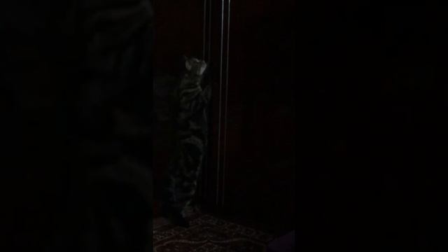Всё равно открою дверь, пусти ! смотреть онлайн