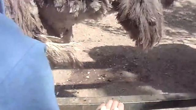 13140042 смотреть онлайн