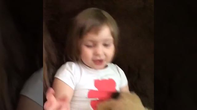 Чем я обычно питаюсь! смотреть онлайн