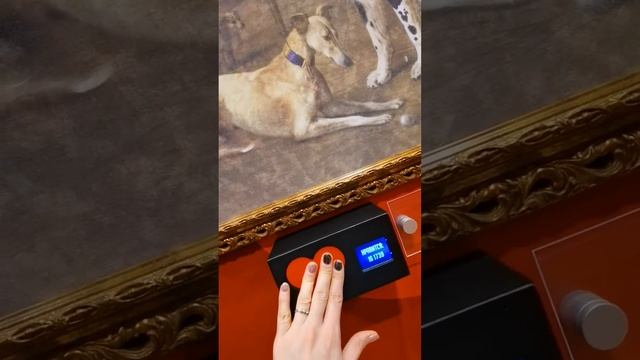 Мирослава в парке Россия моя история (2)