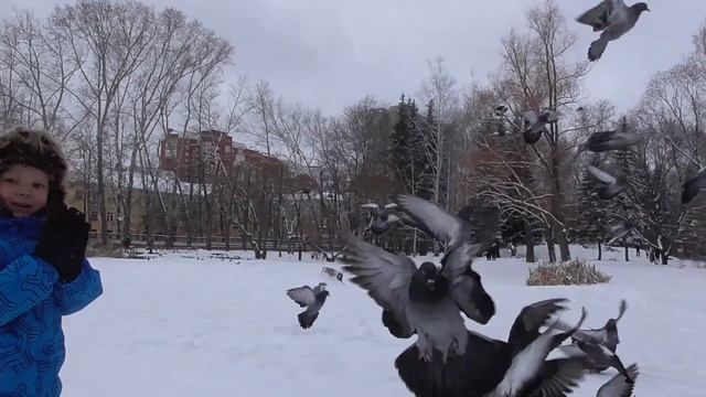 Гоняем голубей Дендропарке. смотреть онлайн