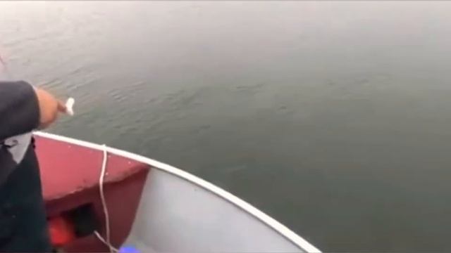 Ловля Щуки Весной