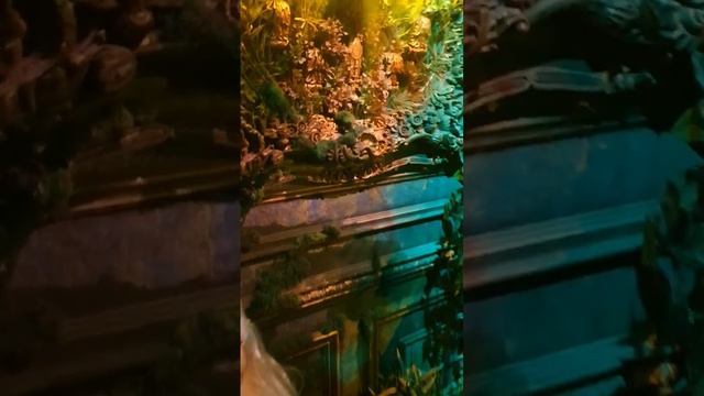 Музей сказочных существ для детей и взрослых в Санкт-Петербурге 