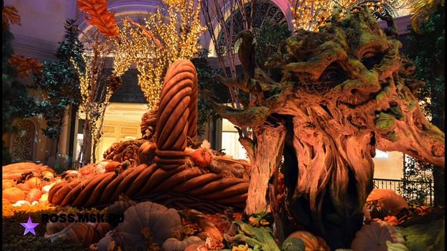 Сказочный лес в отеле Bellagio - Лас-Вегас, США